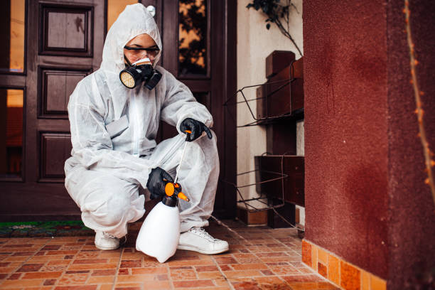 Reliable Wasp Removal contractor in Centreville, AL by Show Me Pest Control